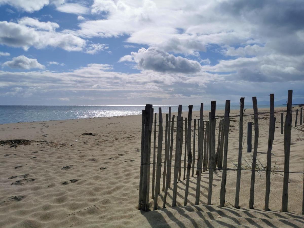 Appartement Soleil Levant - Acces Direct Plage - Terrasse - Une Chambre - Proche Commerces Le Barcarès Εξωτερικό φωτογραφία