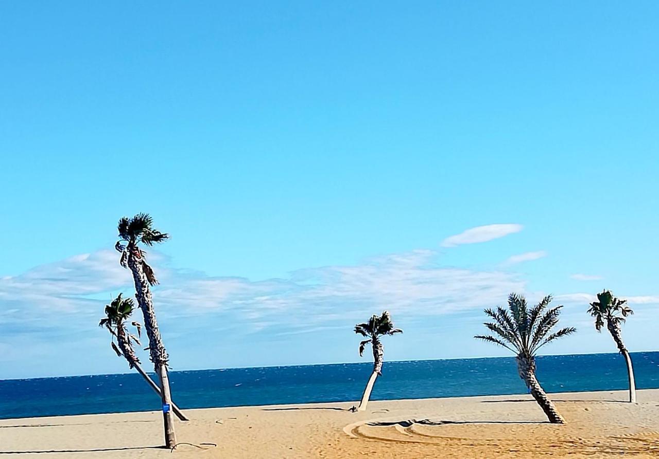 Appartement Soleil Levant - Acces Direct Plage - Terrasse - Une Chambre - Proche Commerces Le Barcarès Εξωτερικό φωτογραφία