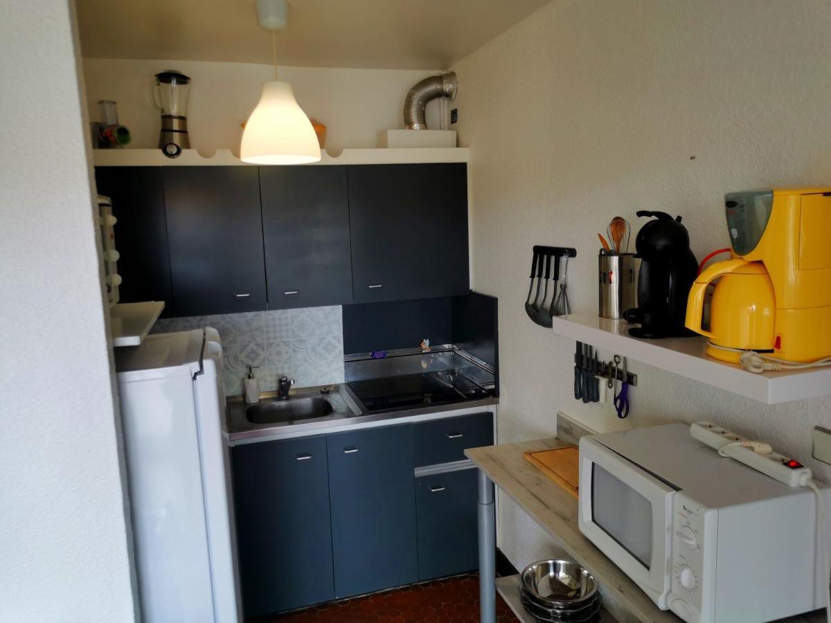 Appartement Soleil Levant - Acces Direct Plage - Terrasse - Une Chambre - Proche Commerces Le Barcarès Εξωτερικό φωτογραφία