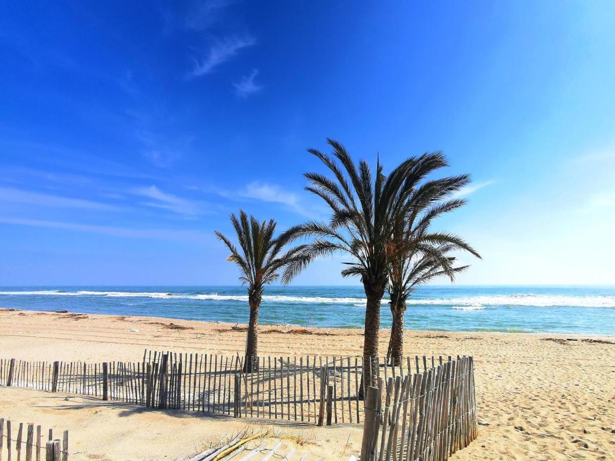 Appartement Soleil Levant - Acces Direct Plage - Terrasse - Une Chambre - Proche Commerces Le Barcarès Εξωτερικό φωτογραφία